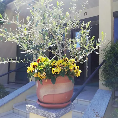 ホテル Fioroni ベッラージョ