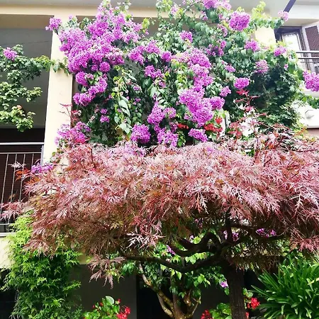 Fioroni Bellagio